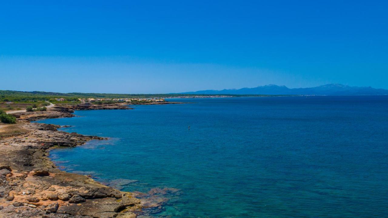 Petit Arta Villa Екстериор снимка